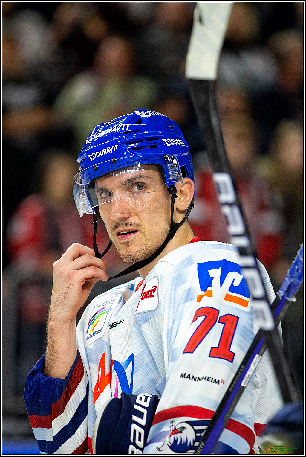 PENNY DEL; Koelner Haie- Adler Mannheim; Koeln, 04.11.2022